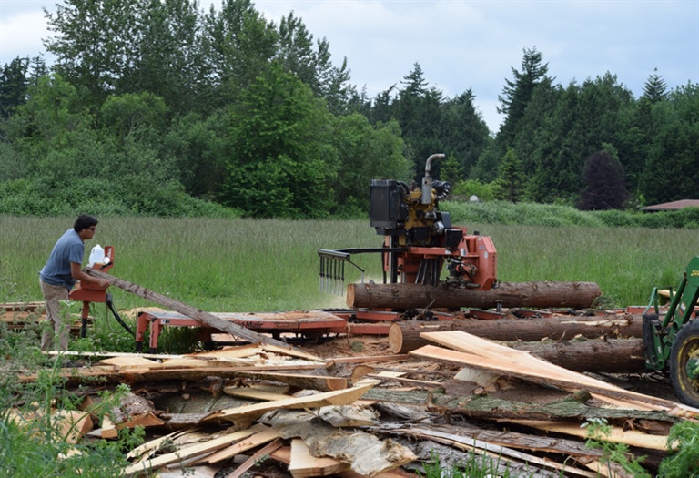 How To Choose a Portable Sawmill | Wood-Mizer USA