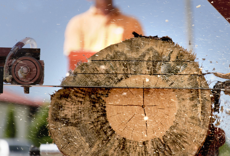Sawmill Sawing a Log